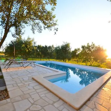 Holiday House Olive Trees